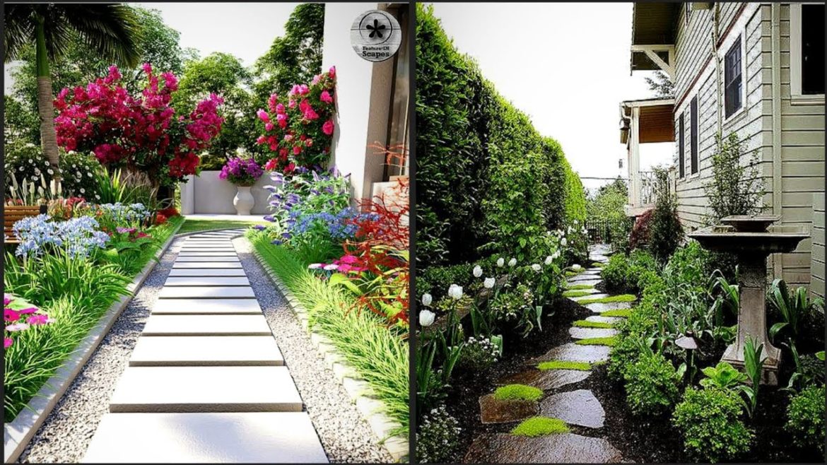 Beautiful Backyard Landscape Decoration Ideas|| Very Attractive Backyard Landscape Decoration Ideas
