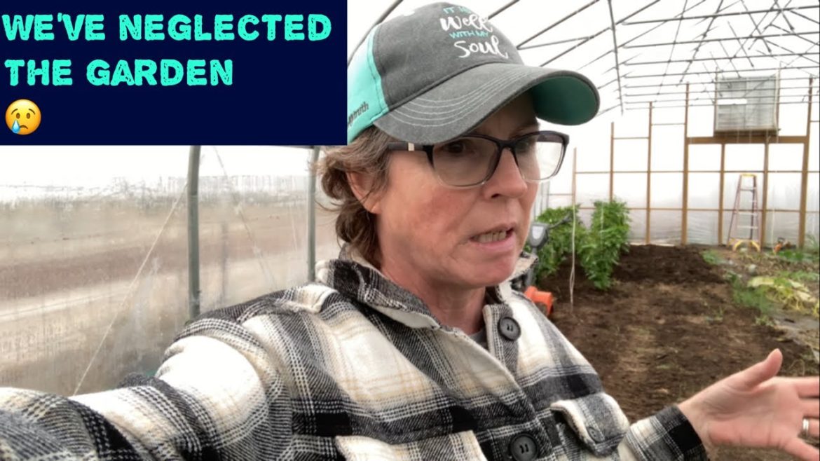 We’ve neglected our duties… Garden update.