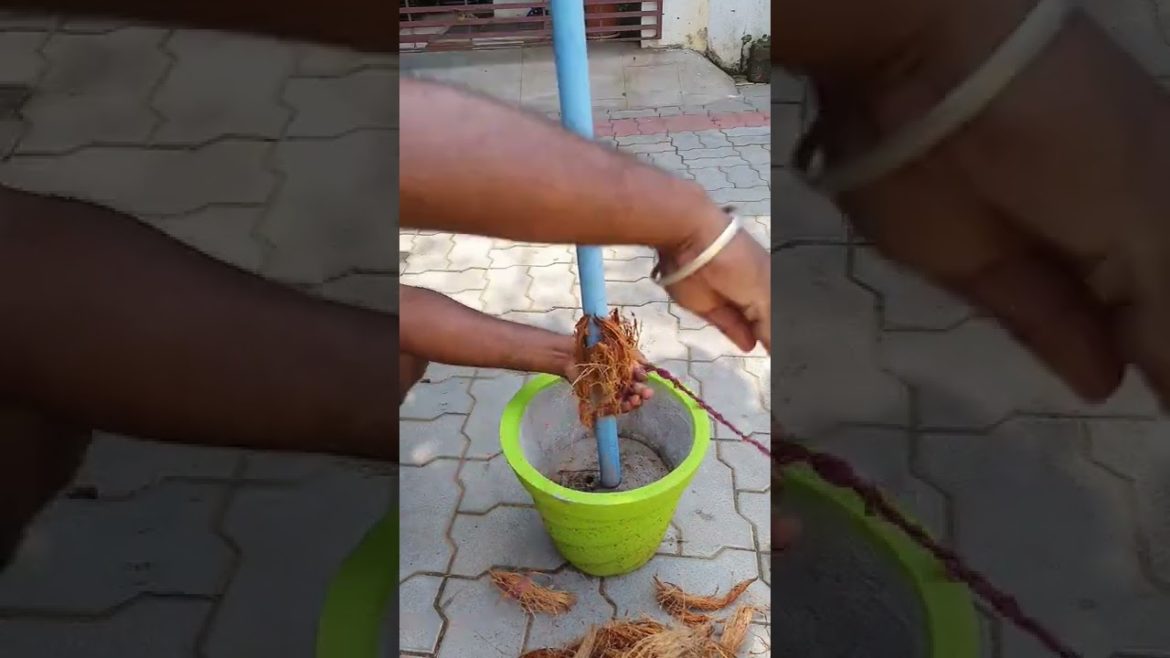 இது தெரிஞ்சா! 1000ரூ மிச்சம் செய்யலாம் | terrace garden ideas in tamil