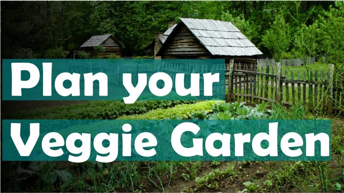 How to plan a vegetable garden design your best garden layout How to plan a vegetable garden design your best garden layout