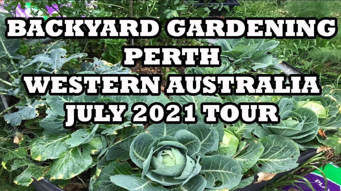 Backyard Garden Tour - July 2021