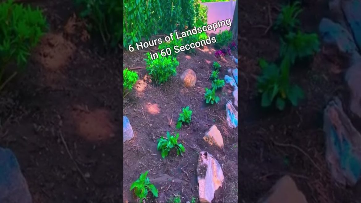 "6 hours of work in 60 seconds" We totally replaced this garden landscapes