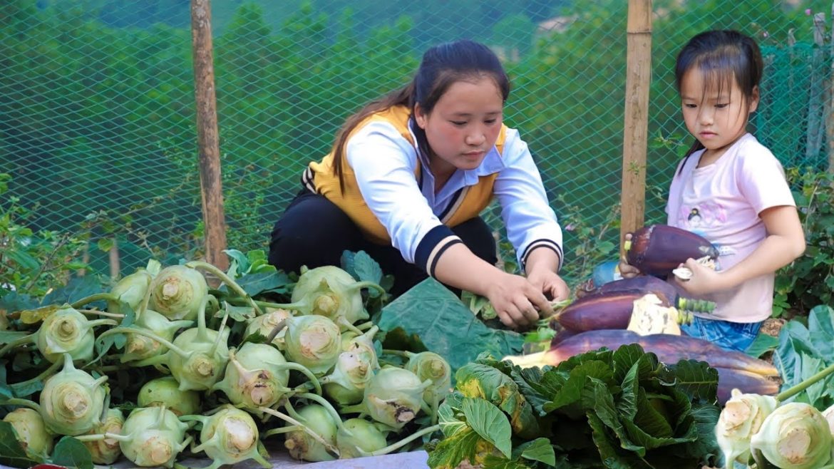 The process with my sister, Harvesting garden vegetable,Bring ducks and snails to the market to sell