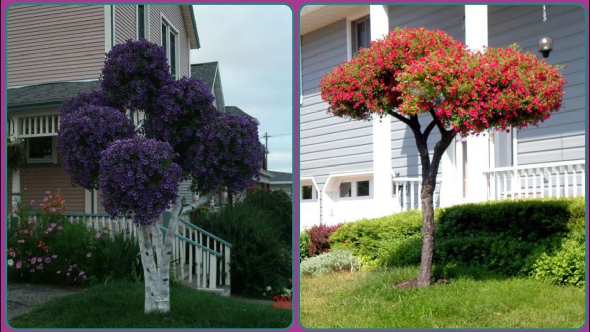 Most Brilliant Garden Tree Art Design _ Living Tree Art
