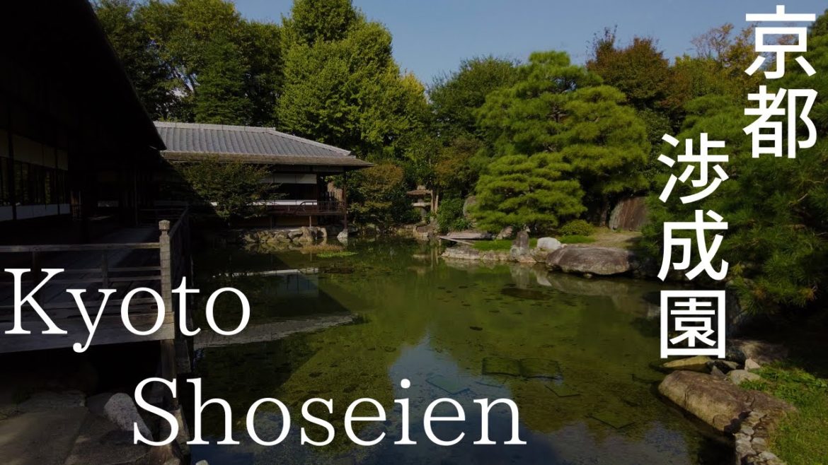 京都駅前の日本庭園-渉成園-を散策：【Japanese Garden in front of Kyoto Station】- Shoseien Garden - (Kyoto,Japan)