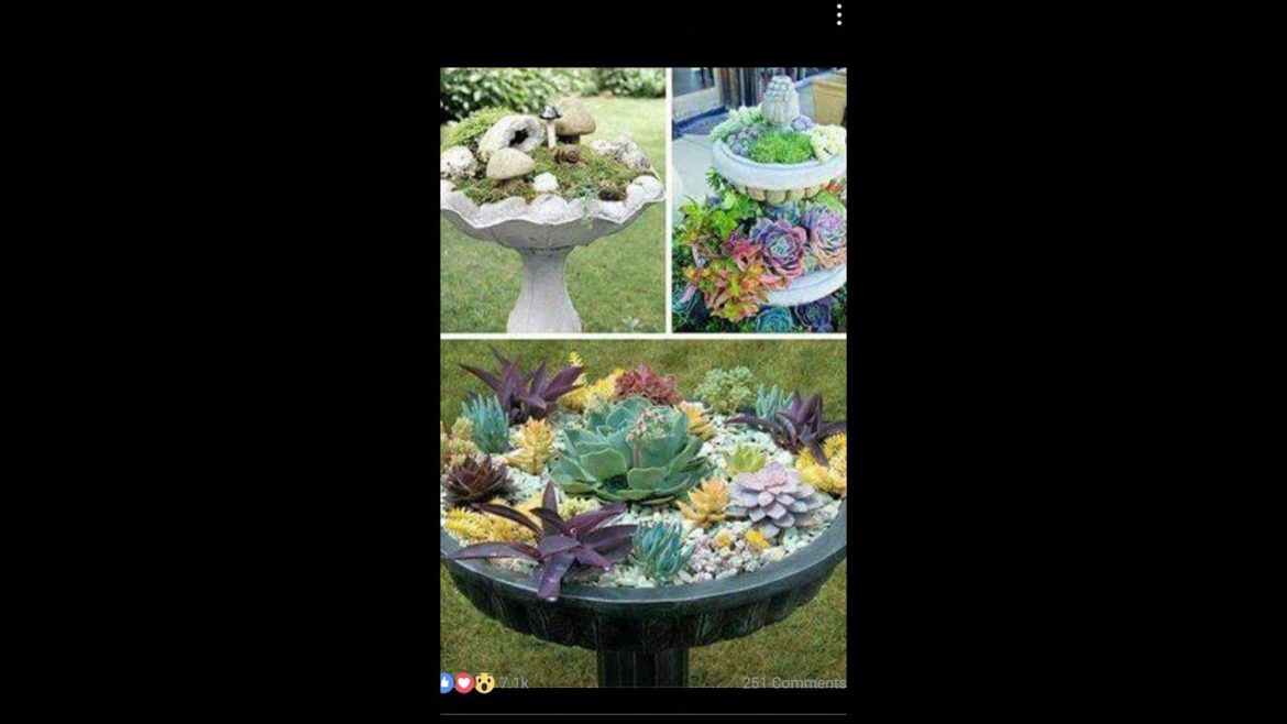 🌼Cute flower beds🌼 🌼Cute flower beds🌼