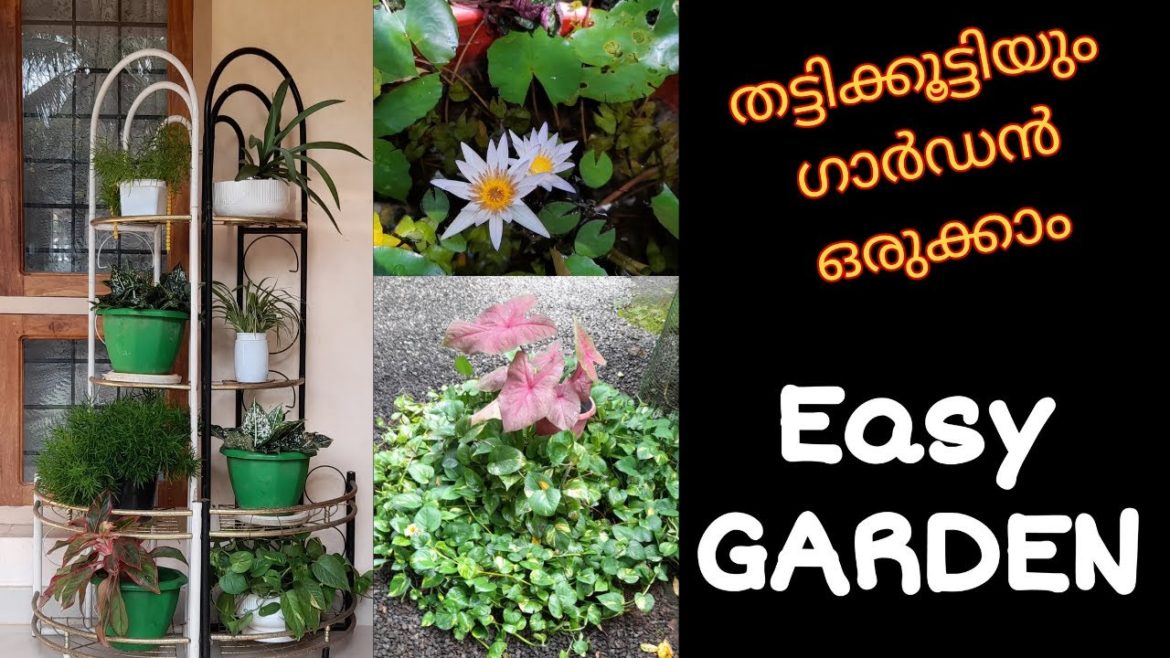 House garden | Home garden | Easy garden | Garden India | Malayalam |