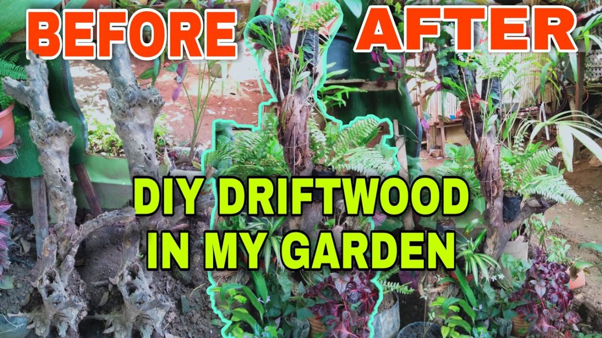 DIY DRIFTWOOD IN MY GARDEN FROM LUGOT GARDEN DESIGN/GARDEN IDEA LOW BUDGET DRIFTWOOD AND PLANTS DIY DRIFTWOOD IN MY GARDEN FROM LUGOT GARDEN DESIGN/GARDEN IDEA LOW BUDGET DRIFTWOOD AND PLANTS