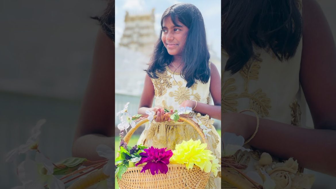 #Shorts | Garden Love series 01 | Dahlia | Zinnia | Backyard Garden Highlights