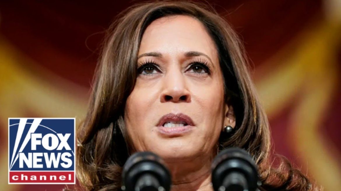 Biden mulls 2024 plans as Kamala Harris has 'awkward moment' Biden mulls 2024 plans as Kamala Harris has 'awkward moment'