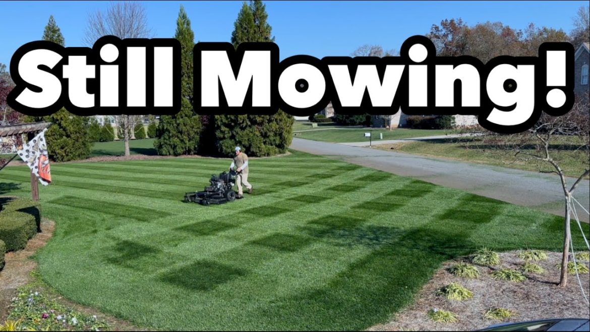 When Do I STOP Mowing My Yard When Do I STOP Mowing My Yard