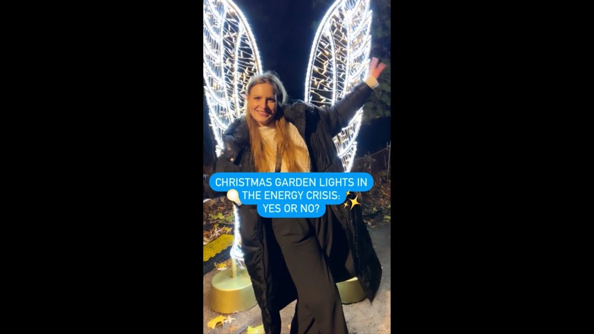 Berlin: Christmas Garden Lights in the Energy Crisis – Yes or No?