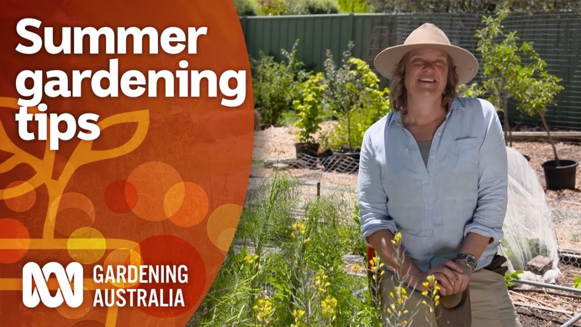 How to get the most success from your summer gardening | Gardening 101 | Gardening Australia How to get the most success from your summer gardening | Gardening 101 | Gardening Australia
