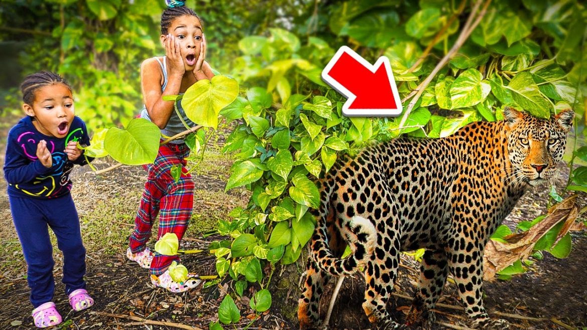 CAUGHT a WILD ANIMAL in our BACKYARD **Scary**