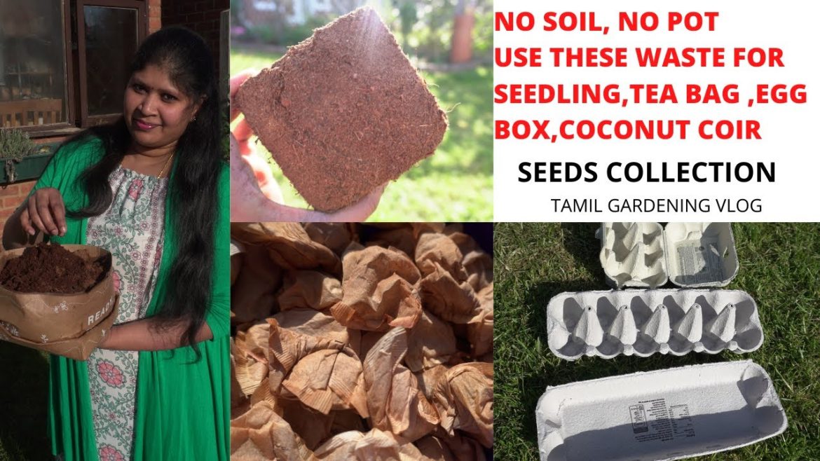 GARDENING TIPS || RECYCLING WASTE FOR GARDENING || UK TAMIL GARDENING VLOGS