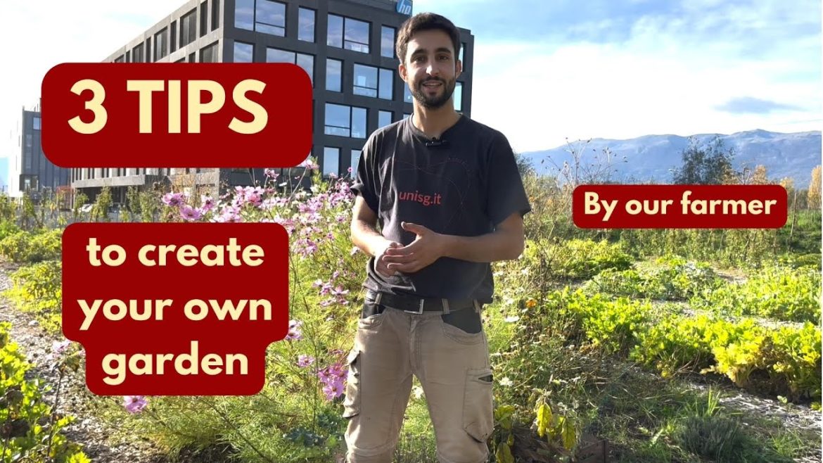3 tips to create your own garden / By our Farmer 👨‍🌾