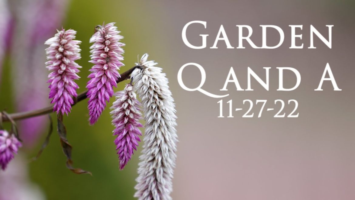 Great Garden and Landscape Q and A - Grafted Trees, Moisture Meter, Winter Containers