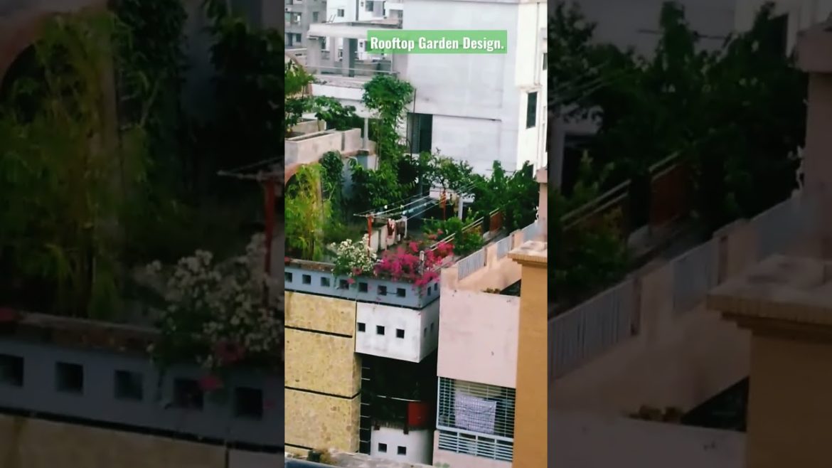 Rooftop garden design ideas for the people of world đ. Rooftop garden design ideas for the people of world đ.