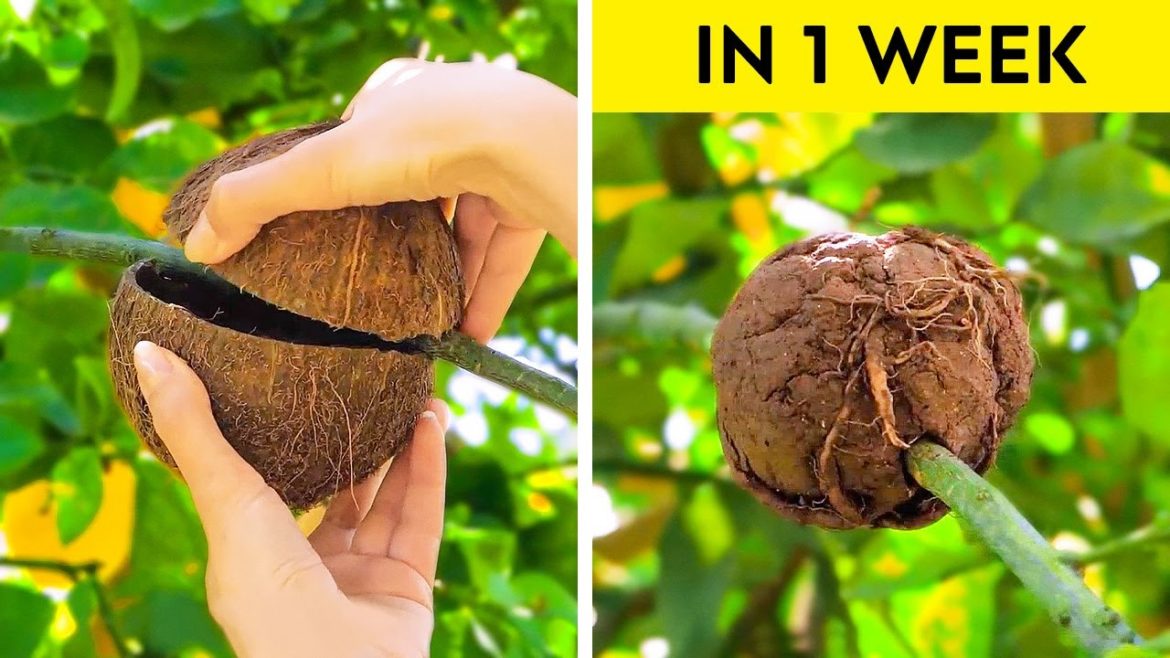 Incredible Plants Hacks And Gardening Tips Incredible Plants Hacks And Gardening Tips