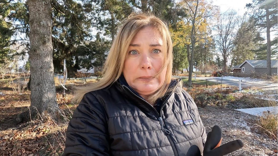 It's a mad scramble to finish fall gardening jobs! It's a mad scramble to finish fall gardening jobs!