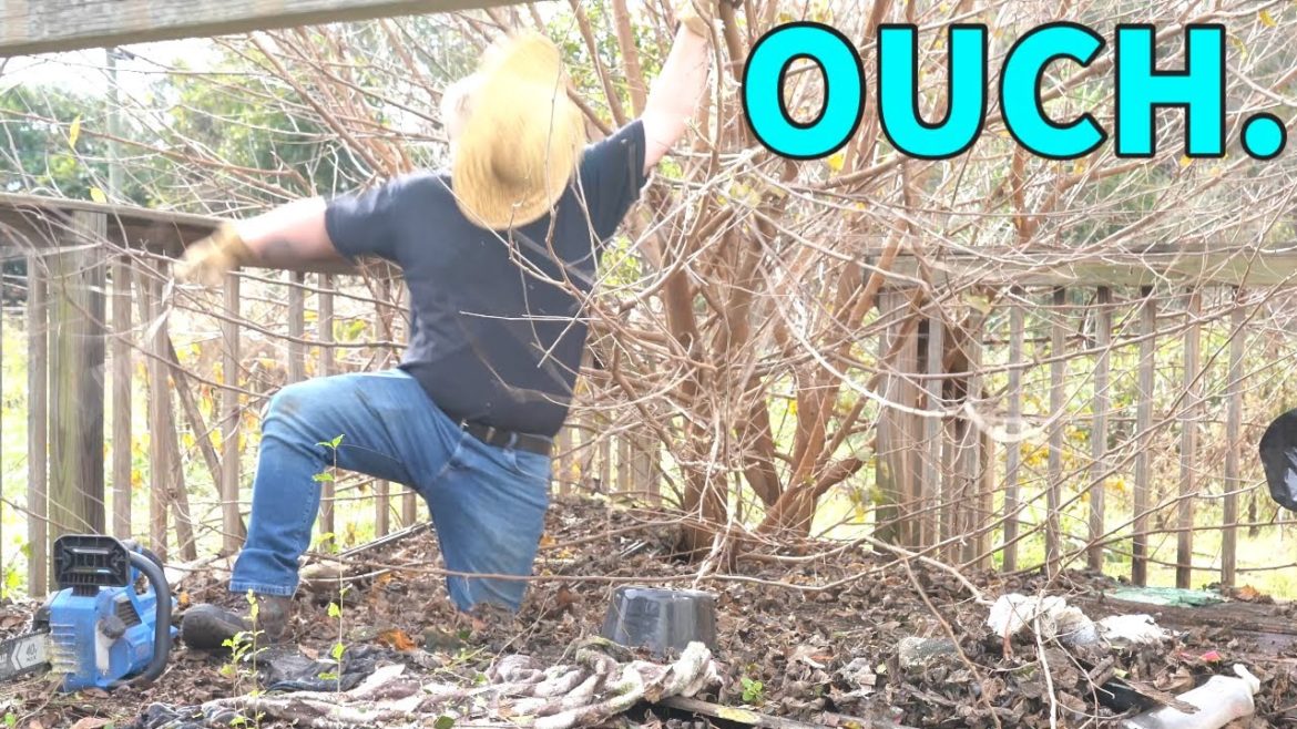 MOST SHOCKING TRANSFORMATION You Will EVER SEE | FELL Through a DECK