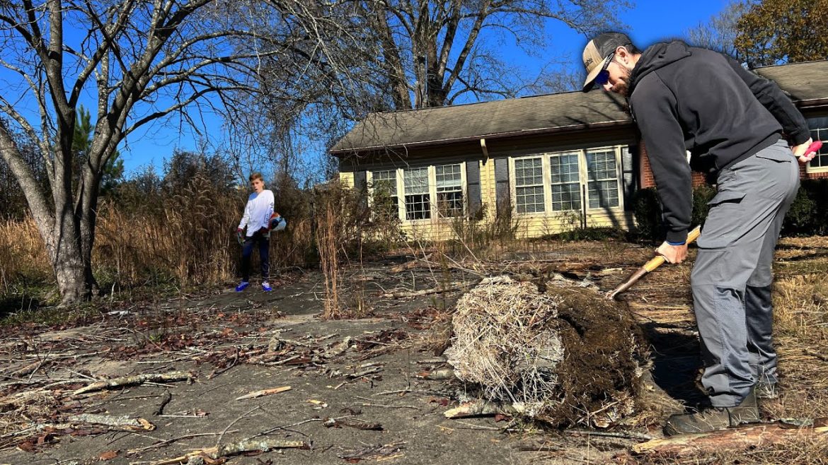 SHOCKING REVEAL on this NEGLECTED DRIVEWAY (It HASN'T been TOUCHED in 3 years!)