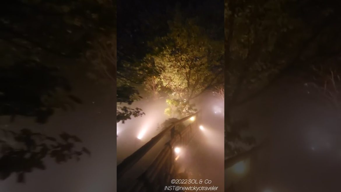 Traditional Japanese garden in Tokyo,Japan　東京日本庭園#short #shorts