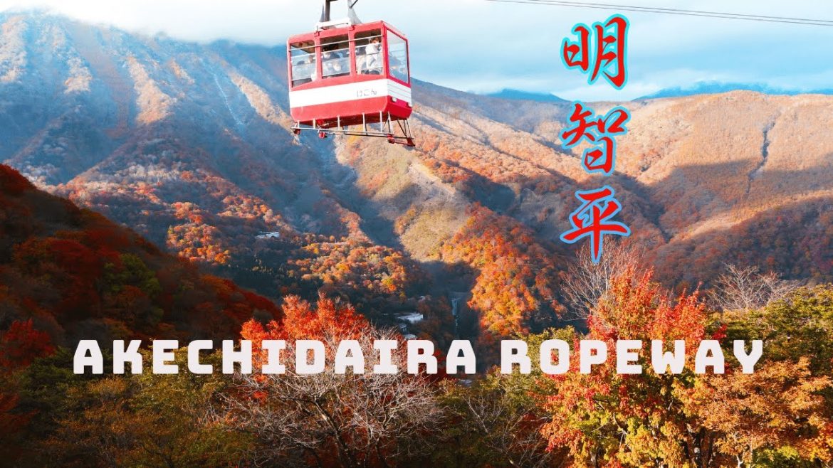 明智平/Tokyo Tourism Series．