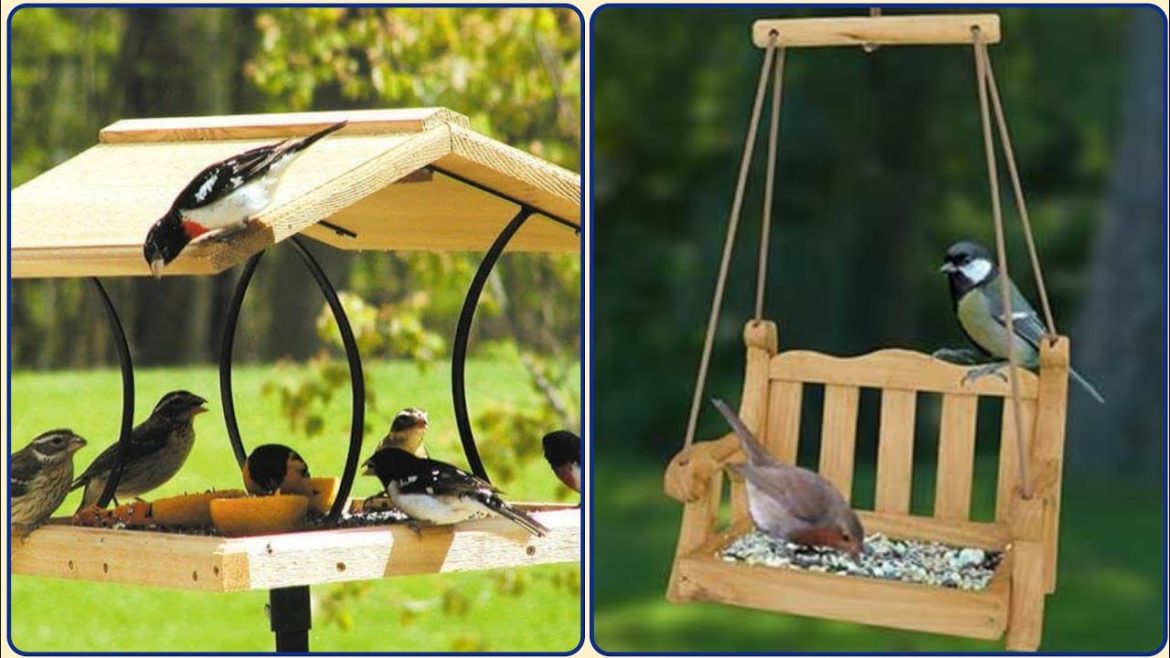 Garden Bird Feeder Aesthetic - Backyard Garden Design Ideas
