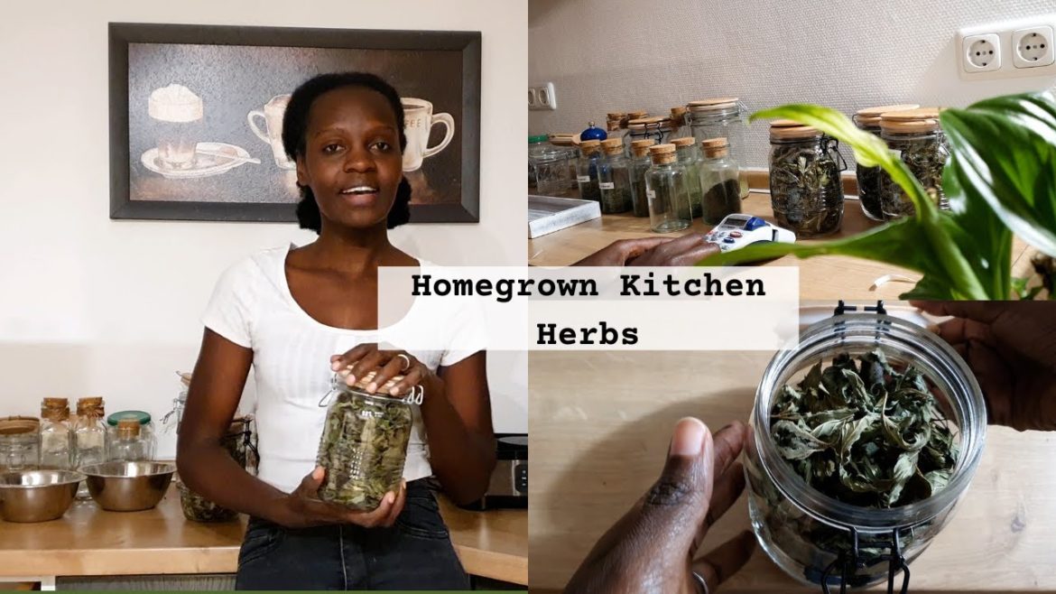 HOW  TO DRY AND STORE  HOMEGROWN HERBS | Preserving Kitchen Herbs | Organic Gardening