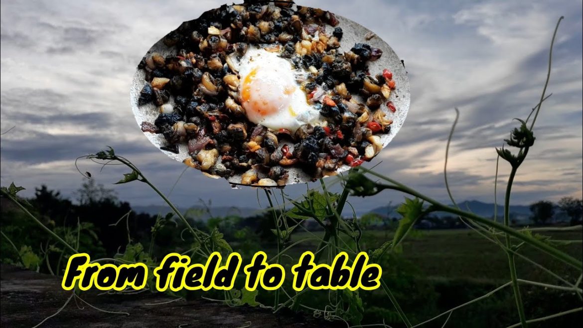 I went to the field and get some pieces of edible snails to cook my own version of sisig