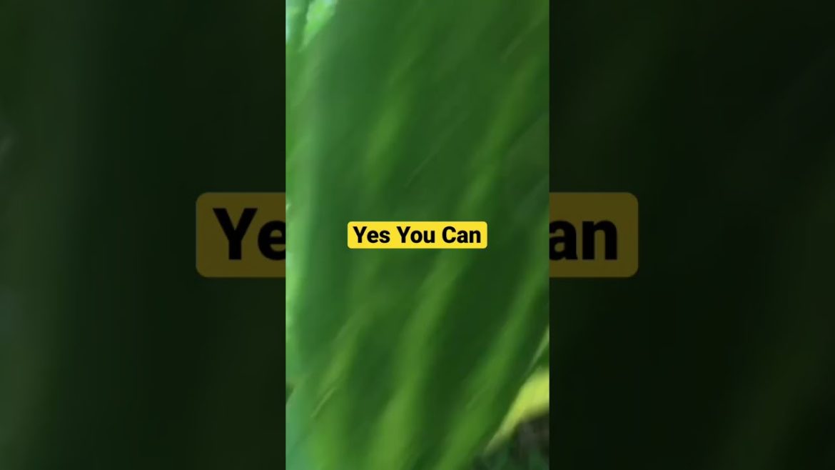 🥒🥒 #zone 5 gardening #permaculture #homesteading