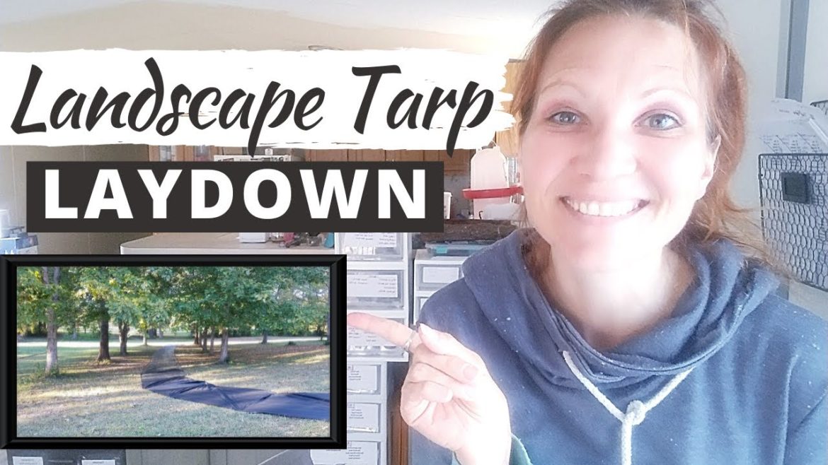 LANDSCAPE TARP LAYDOWN: Setting A Pathway For Gravel Paths On My Land! LANDSCAPE TARP LAYDOWN: Setting A Pathway For Gravel Paths On My Land!