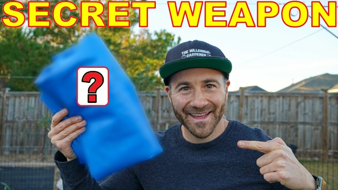 This Tool Is My SECRET WEAPON For Resting Garden Beds Off Season This Tool Is My SECRET WEAPON For Resting Garden Beds Off Season