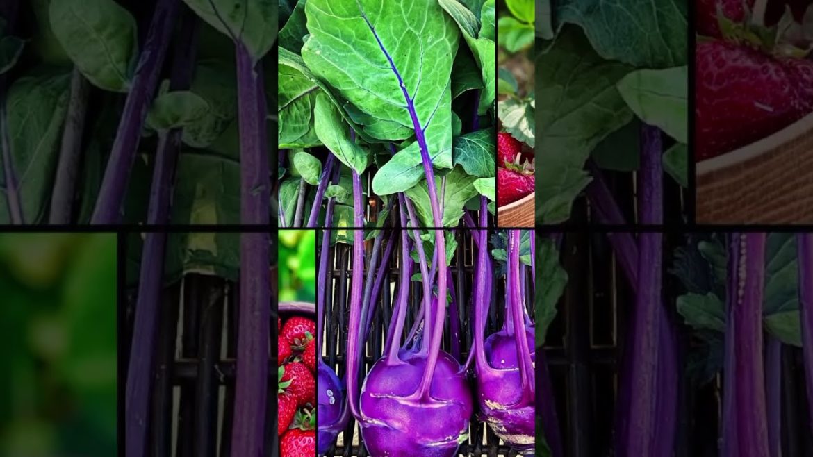 Amazing Gardening Season #shorts #gardening