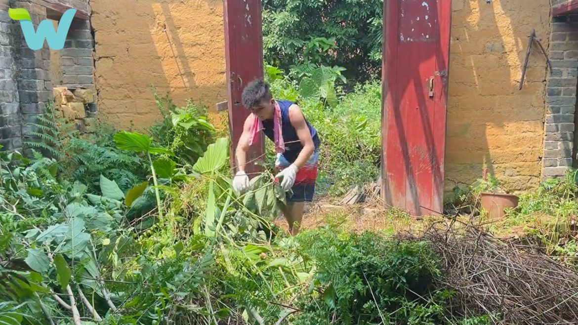 Being unemployed, i returned to my hometown and renovated the old house where i was born Being unemployed, i returned to my hometown and renovated the old house where i was born