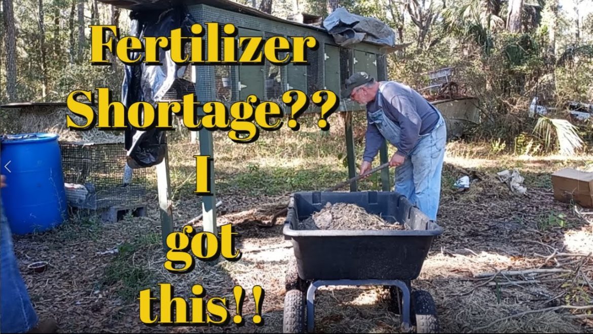 How to Start a Garden  Plan & Prepare for 2023 How to get your Spring Garden Ready - Free Fertilizer