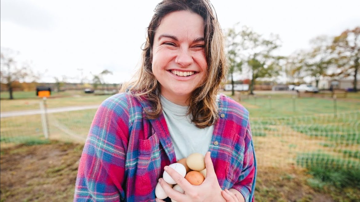 Roots and Refuge Farm: Thankful for Eggs, Chamomile and Comfortable Dreams | VLOG Thankful for Eggs, Chamomile and Comfortable Dreams | VLOG
