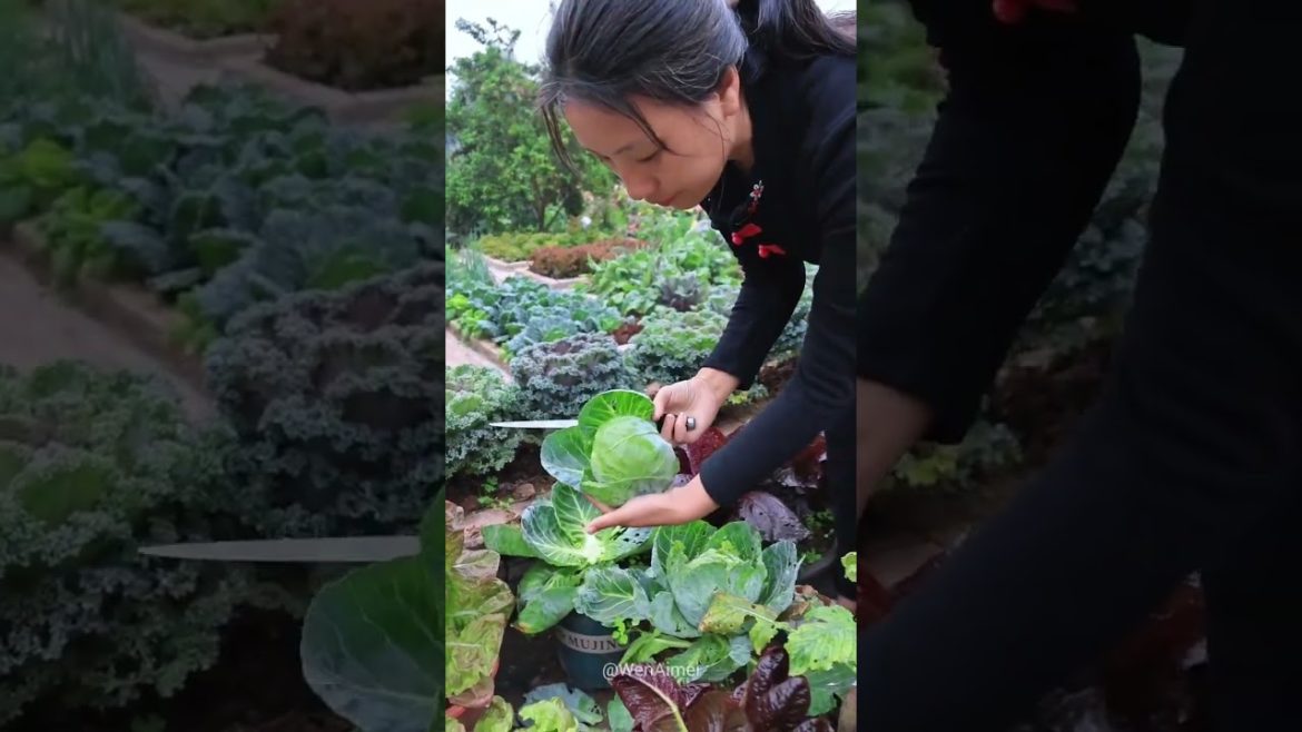 Beautiful Nature with Rural Life #shorts #naturalife #rurallife