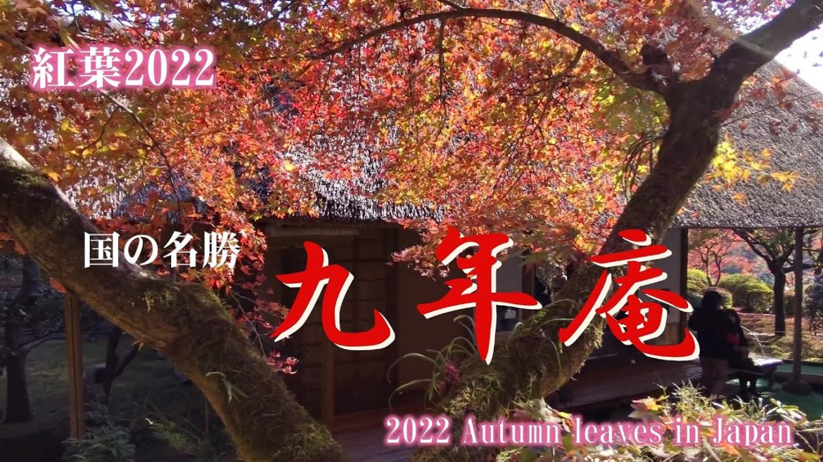 紅葉2022　国の名勝 九年庵　Autumn Leaves in Japan 2022 Kunenan, a National Scenic Beauty