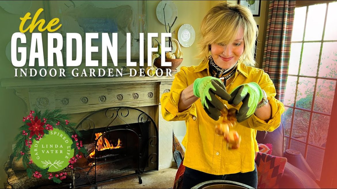 Christmas Indoor Gardening Decor