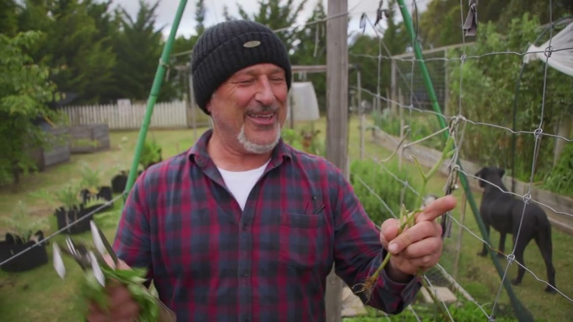 Planting More Veggies