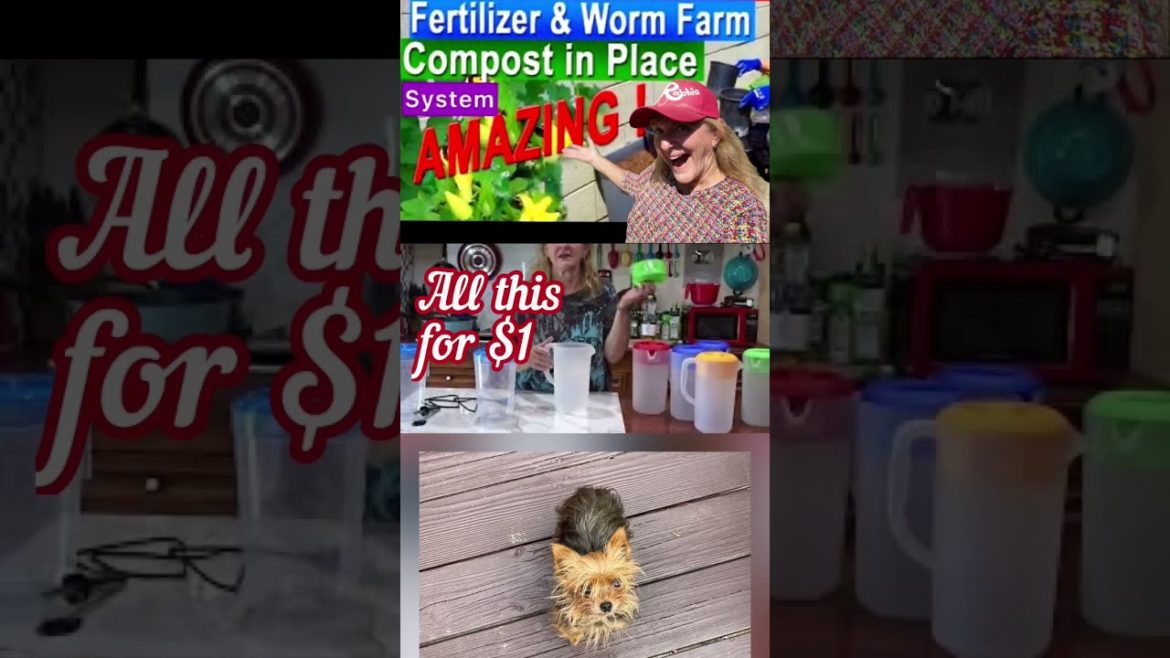 Garden Earthworm Trap Kitchen Scraps! Composting System Pitcher Compost in Place Container Gardening Garden Earthworm Trap Kitchen Scraps! Composting System Pitcher Compost in Place Container Gardening