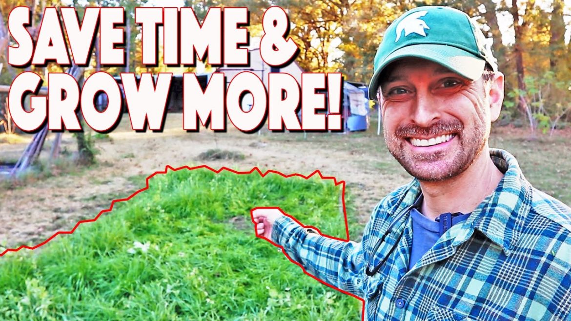 Do These 5 Things To Your Garden NOW For More Food Next Season! Do These 5 Things To Your Garden NOW For More Food Next Season!