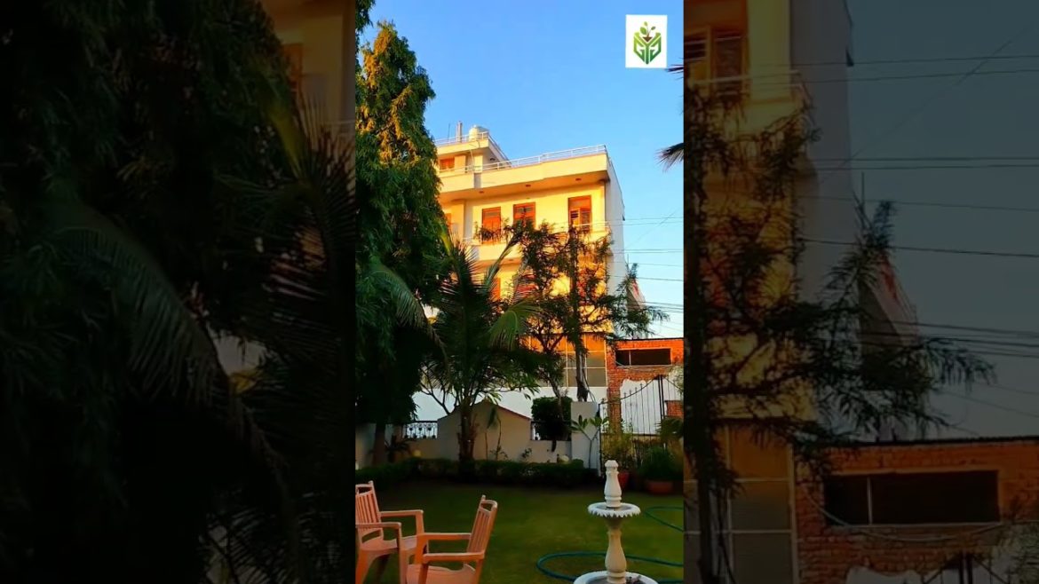 gardening #homegarden #shorts #garden gardening #homegarden #shorts #garden