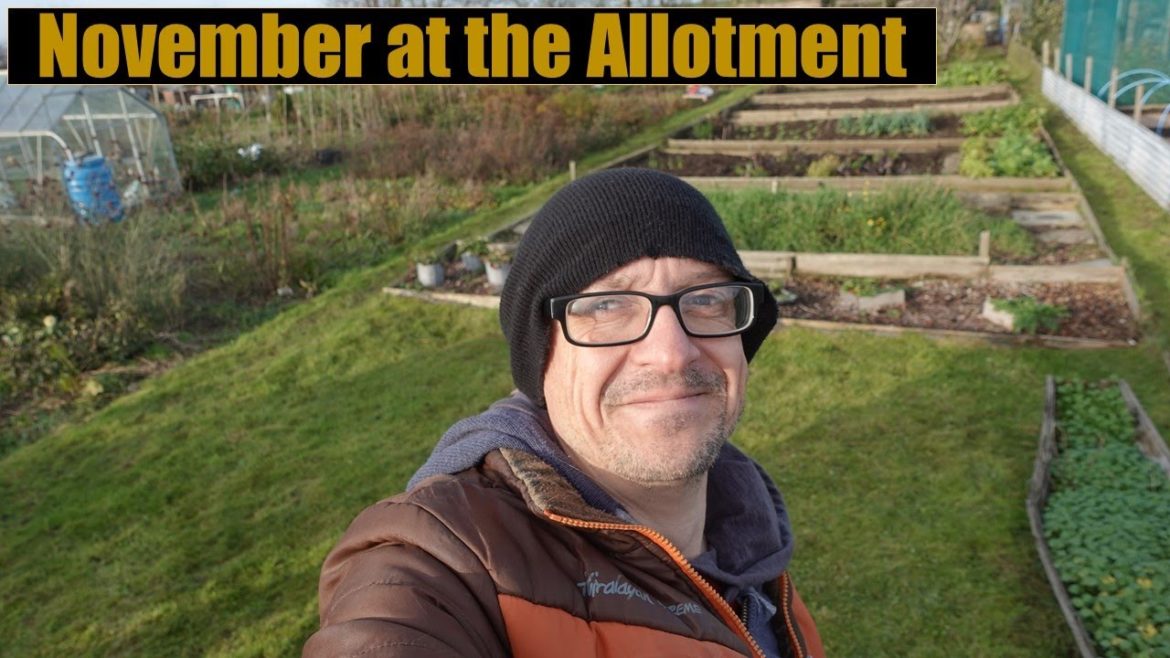 November at the Allotment - Hot in the Greenhouse!