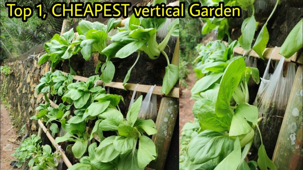 simple gardening ideas that shock the world how to grow vegetables vertically simple gardening ideas that shock the world how to grow vegetables vertically