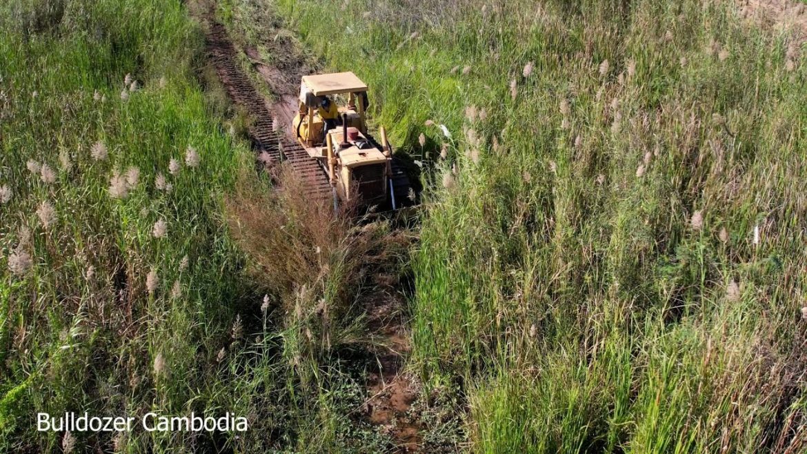BIG THE PROJECT!! WORKING FAST BULLDOZER KUMATSU USE POWERFUL CLEARING FOREST TO CREATE AND GARDENS