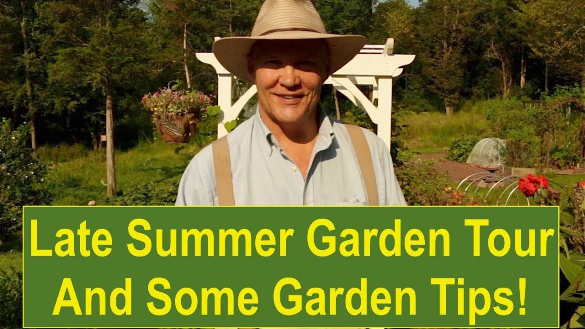 Late Summer Garden Tour And Some Garden Tips!