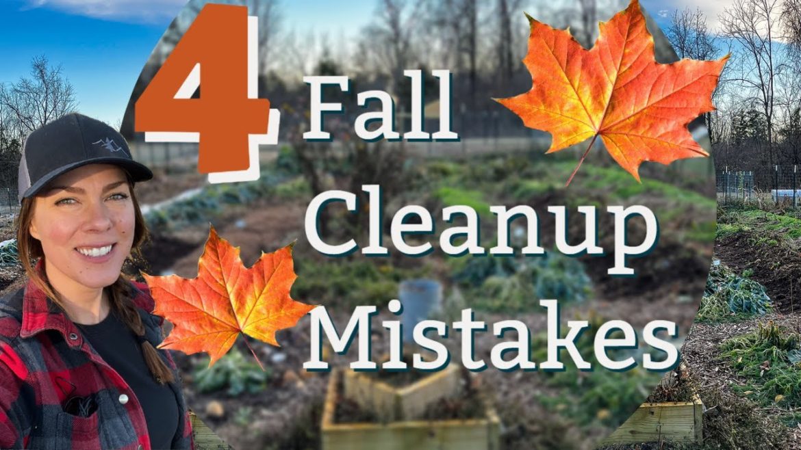 Fall Vegetable Garden Cleanup and Winterization Fall Vegetable Garden Cleanup and Winterization